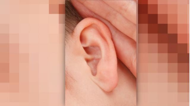 The Listening Parent: Opening The Doors Of Communication